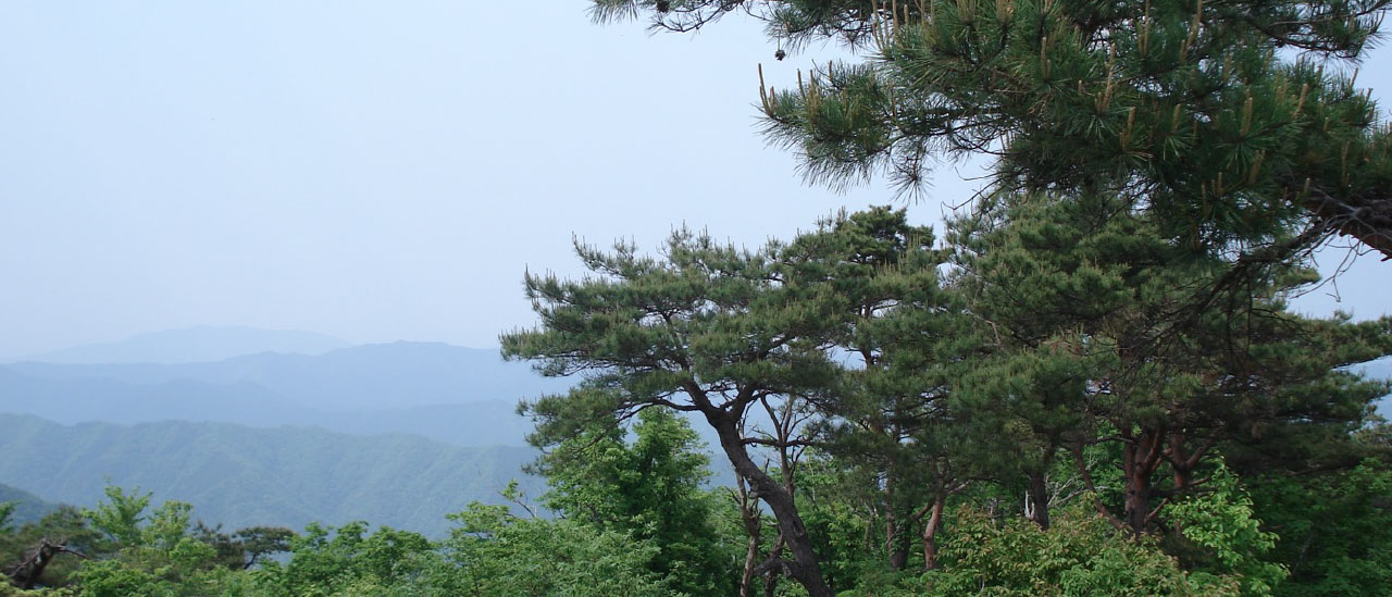 八ヶ峰家族旅行村 キャンプ場